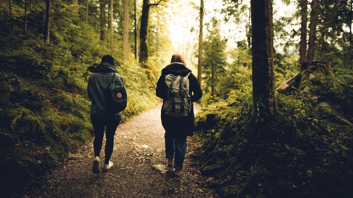 ¿Conoces todos los beneficios del senderismo como actividad grupal?