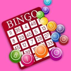 conocer gente bingo loco