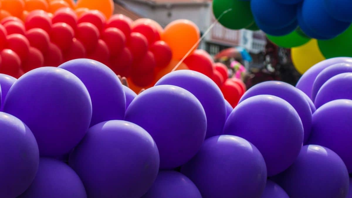 animación para comuniones