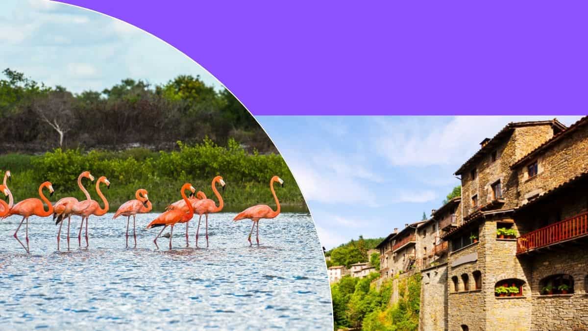 La belleza de las áreas campestres puede impulsar notablemente tu negocio