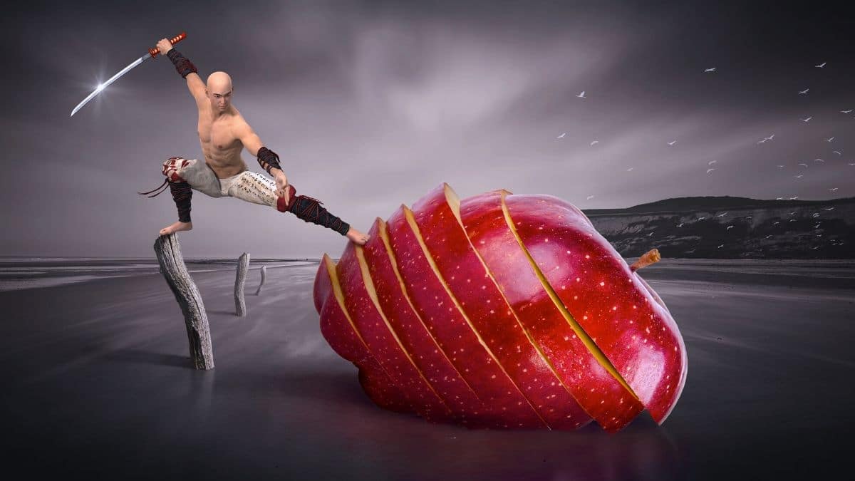 El juego del Samurai