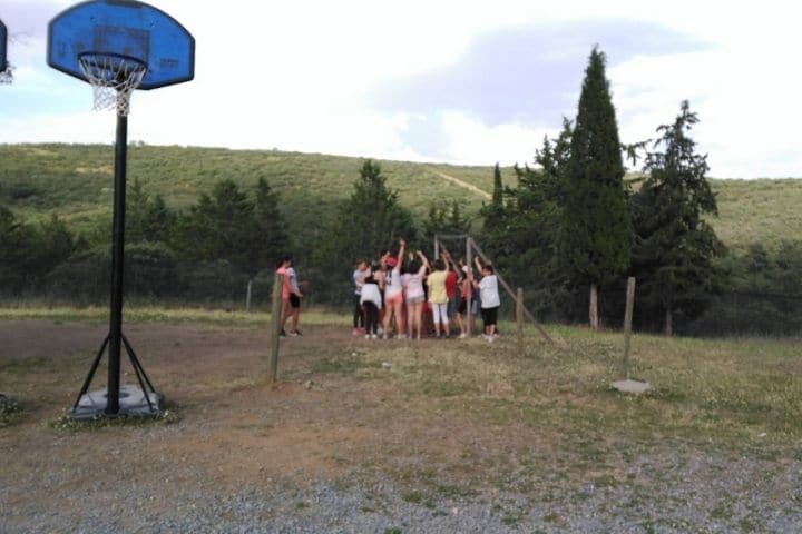 Juegos para campamento infantil